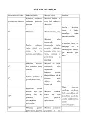 Mokymosi proceso stebėjimo praktika 4 puslapis