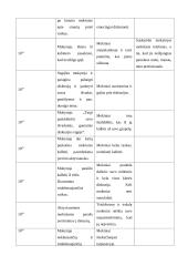 Mokymosi proceso stebėjimo praktika 5 puslapis
