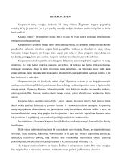 Mokymosi proceso stebėjimo praktika 8 puslapis