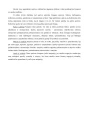 Mokymosi proceso stebėjimo praktika 10 puslapis