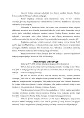 Mokytojo profesija ir socialinis vaidmuo 4 puslapis