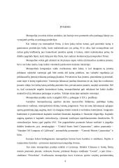 Monopolijos formavimosi ypatybės ir pelno maksimizavimas 4 puslapis