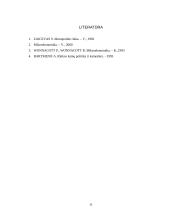 Monopolinė rinka ir monopolinė kainodara 11 puslapis