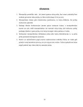 Monopolinė rinka ir monopolinė kainodara 10 puslapis