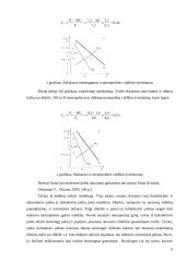 Monopolinės valdžios įvertinimas 6 puslapis