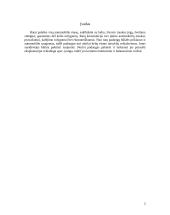 Montavimo balansavimo cechas 2 puslapis