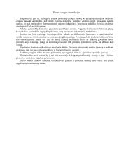 Montavimo balansavimo cechas 11 puslapis