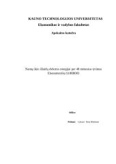 Namų ūkio išlaidų elektros energijai tyrimas