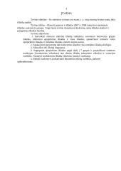 Namų ūkio statistinis tyrimas 3 puslapis