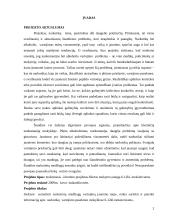 Narkomanijos prevencija jaunimo tarpe 2 puslapis