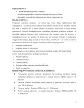 Narkomanijos prevencija jaunimo tarpe 3 puslapis