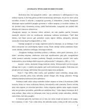 Narkomanijos prevencija jaunimo tarpe 4 puslapis