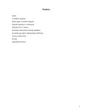 Nedarbas — viena didžiausių ekonomikos blogybių 2 puslapis