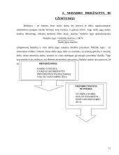 Nedarbas — viena didžiausių ekonomikos blogybių 11 puslapis