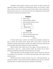 Nedarbas — viena didžiausių ekonomikos blogybių 7 puslapis