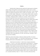 Nedarbas ir užimtumas 2 puslapis