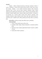 Nedarbas. Nedarbo problemos Lietuvoje 3 puslapis