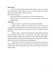 Nedarbas. Nedarbo problemos Lietuvoje 5 puslapis