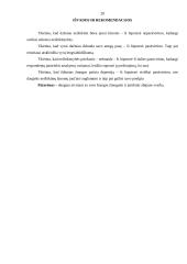 Neištikimybė. Jos priežastys ir pasekmės 20 puslapis