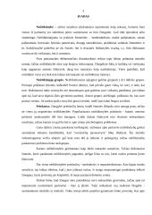 Neištikimybė. Jos priežastys ir pasekmės 3 puslapis