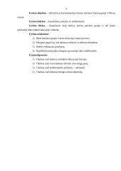 Neištikimybė. Jos priežastys ir pasekmės 6 puslapis