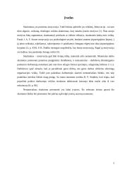 Nematerialaus skatinimo būdai bei priemonės 3 puslapis