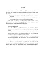 Nematerialaus skatinimo būdai bei priemonės 6 puslapis