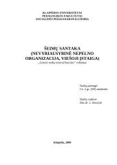 Nevyriausybinė nepelno organizacija: VŠĮ "Šeimų santaka"