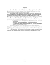 Optimalaus gamybos plano sudarymas įmonei ir jo analizė matematiniais metodais 3 puslapis