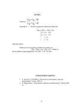 Optimalaus gamybos plano sudarymas įmonei ir jo analizė matematiniais metodais 9 puslapis