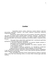 Gamybos plano sudarymas ir jo analizė matematiniais metodais 2 puslapis
