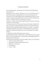 Organizacijos analizė: NVO "Samarija" 3 puslapis