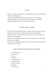 Organizacijos analizė: NVO "Samarija" 4 puslapis