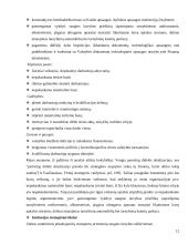 Organizacijos analizė: Valstybinė vidaus vandenų laivybos inspekcija 12 puslapis