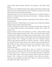 Organizacijos analizė: Valstybinė vidaus vandenų laivybos inspekcija 7 puslapis