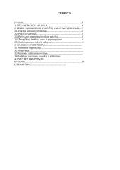 Organizacijos aplinka ir jos pokyčiai 2 puslapis