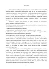 Organizacijos aplinka ir jos pokyčiai 10 puslapis