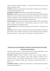 Organizacijos aplinkos įvertinimas: UAB "Prekmeda" 11 puslapis
