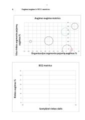 Organizacijos rinkodara: šaldytuvų gamyba AB "Snaigė" 6 puslapis