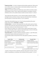Organizacijos tikslų visuma 2 puslapis