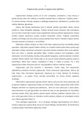 Organizacijos vadyba 3 puslapis