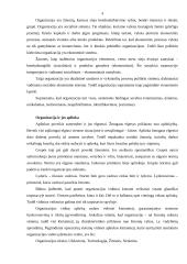 Organizacijos vadyba 4 puslapis