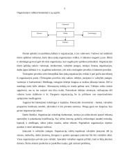 Organizacijos vadyba 5 puslapis