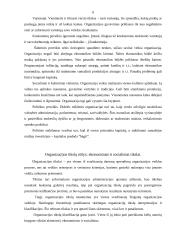 Organizacijos vadyba 6 puslapis