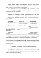 Organizacijos vadyba 7 puslapis