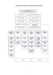 Organizacinė struktūra: AB bankas "Snoras" 9 puslapis