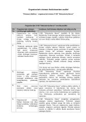 Organizacinės sistemos funkcionavimo analizė