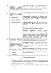 Organizacinės sistemos funkcionavimo analizė 2 puslapis