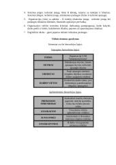 Organizacinės sistemos funkcionavimo analizė 3 puslapis
