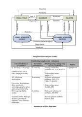 Organizacinės sistemos funkcionavimo analizė 7 puslapis